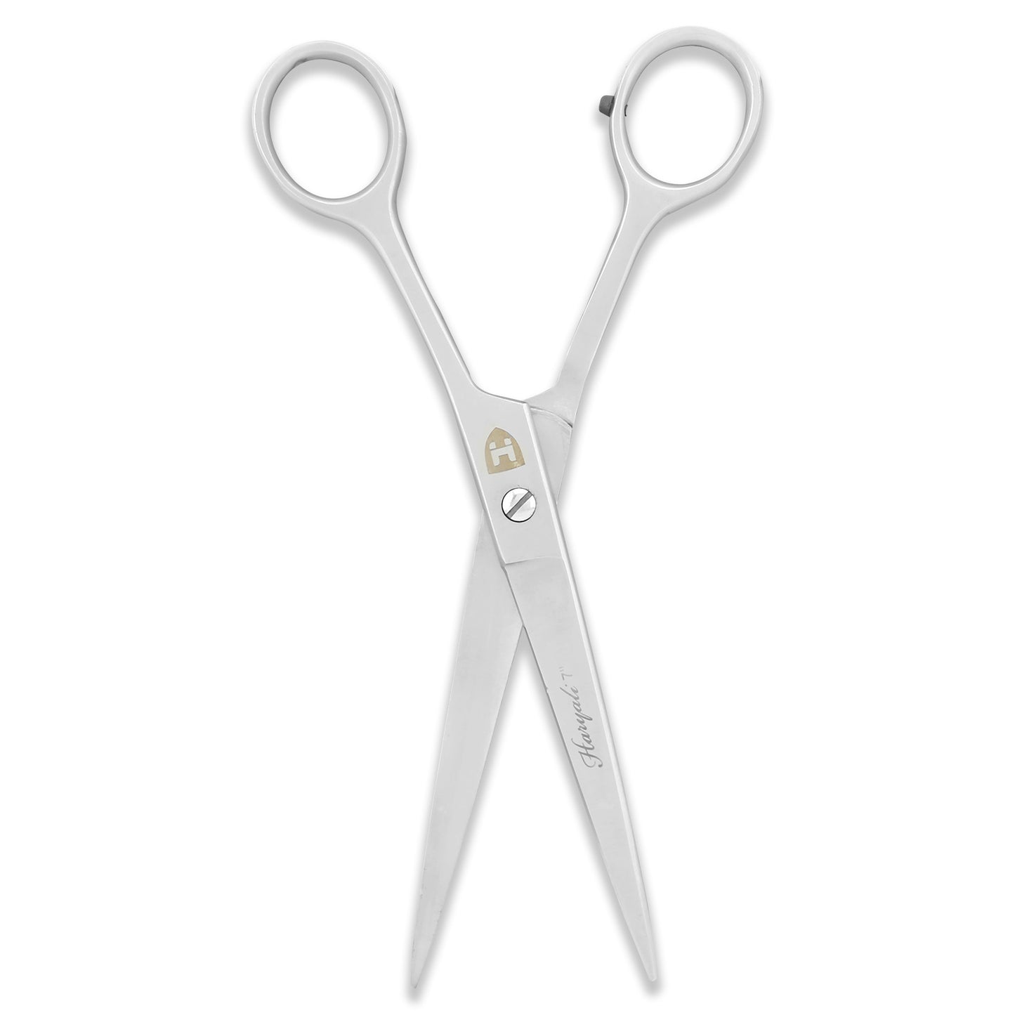 BnB 7-inch silver scissors deliver long, clean cuts with fixed screws and an ergonomic grip. Designed for professionals seeking balance and precision.