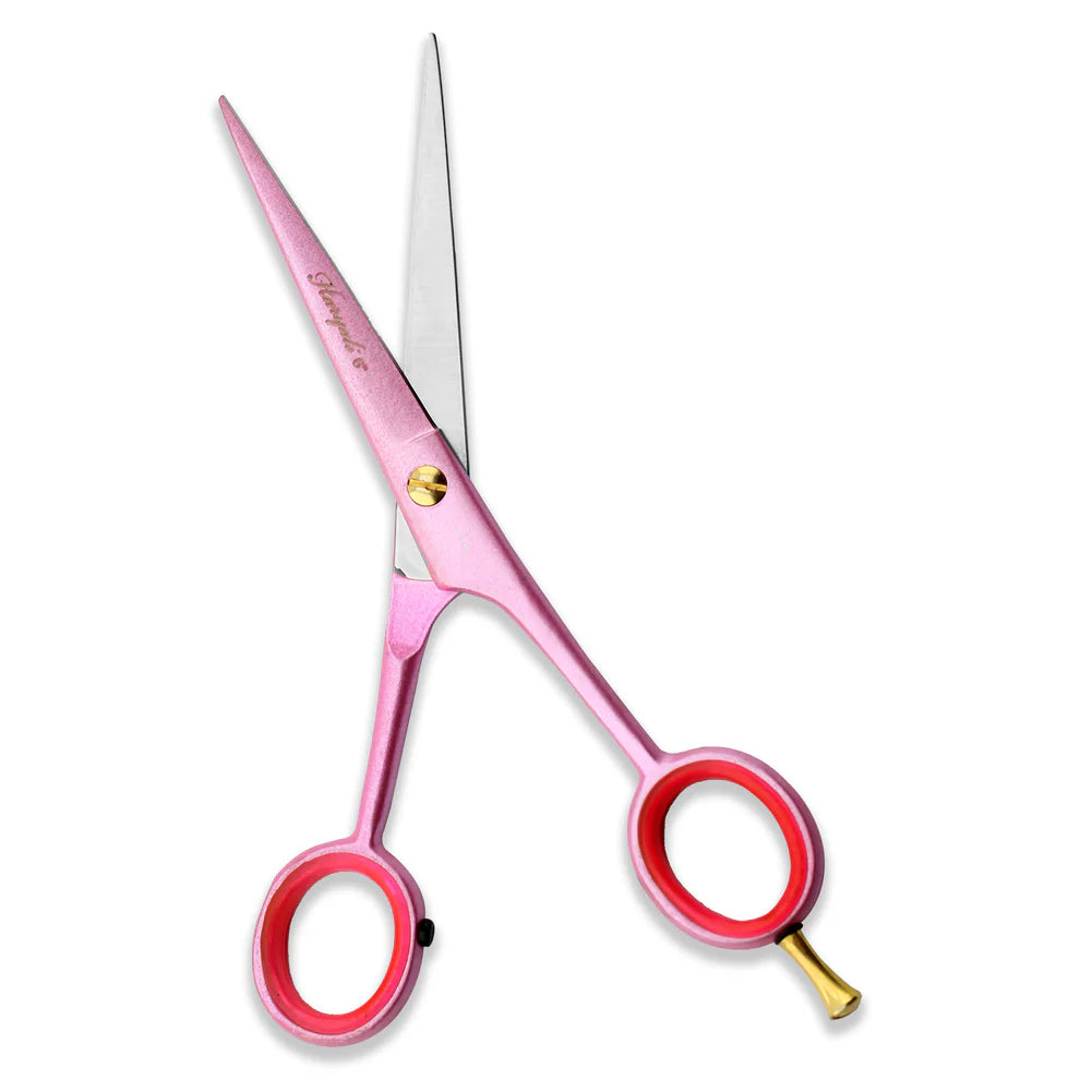 Professional barber tool kit including hair cutting scissors and comb