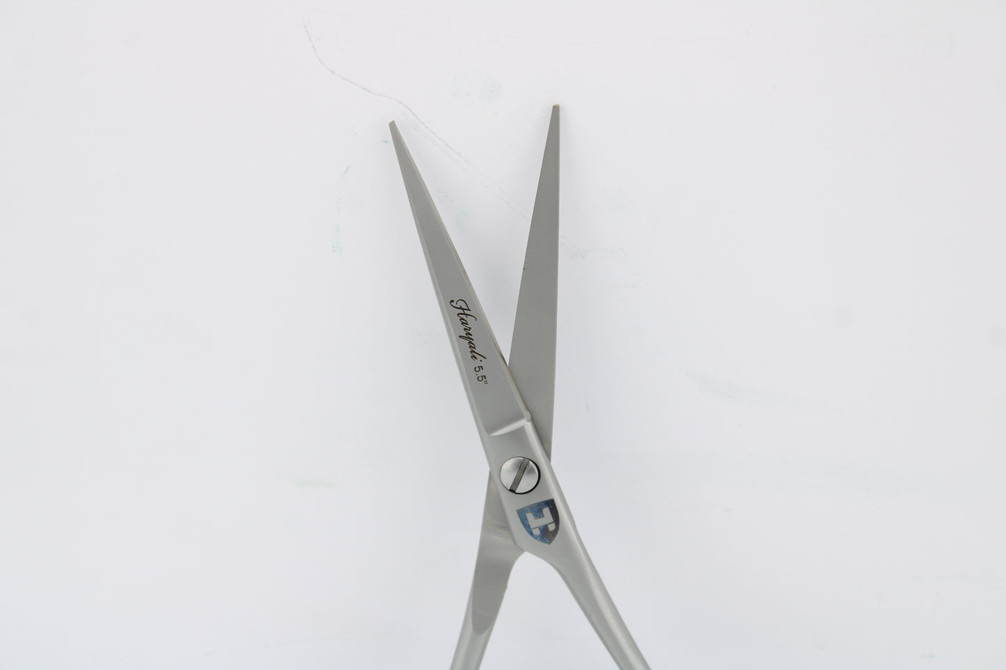 Silver 5.5” Hairdressing Scissors with Fixed Screws