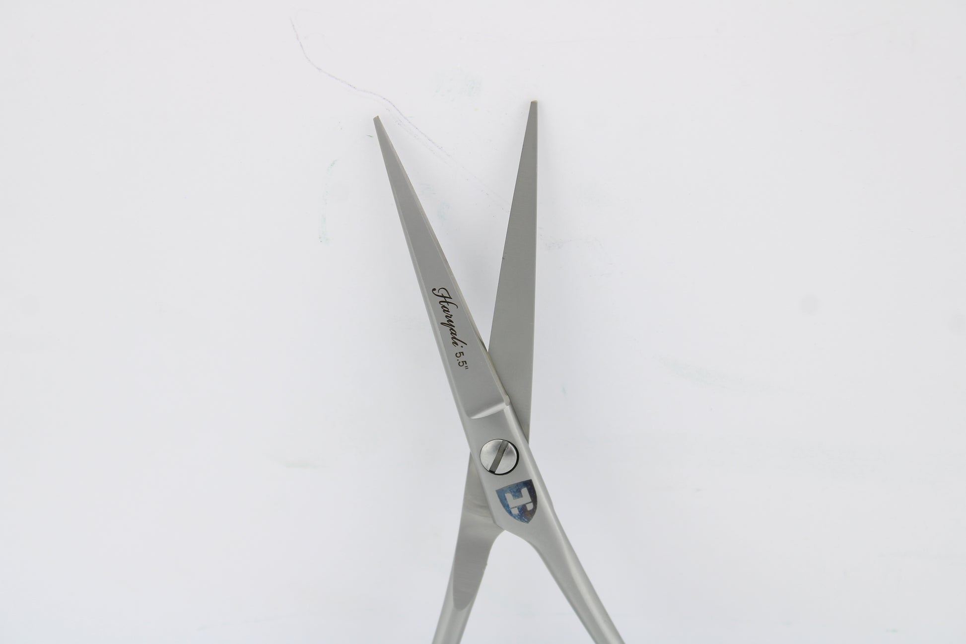 Silver 5.5” Hairdressing Scissors with Fixed Screws