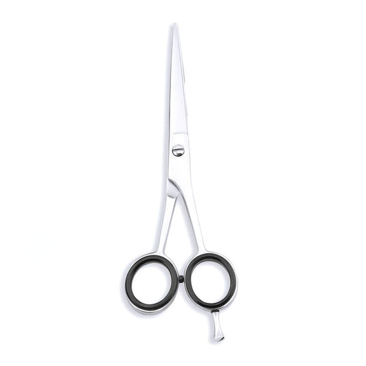 Silver 6.5-inch hair cutting scissor with fixed screws for precise and smooth trimming